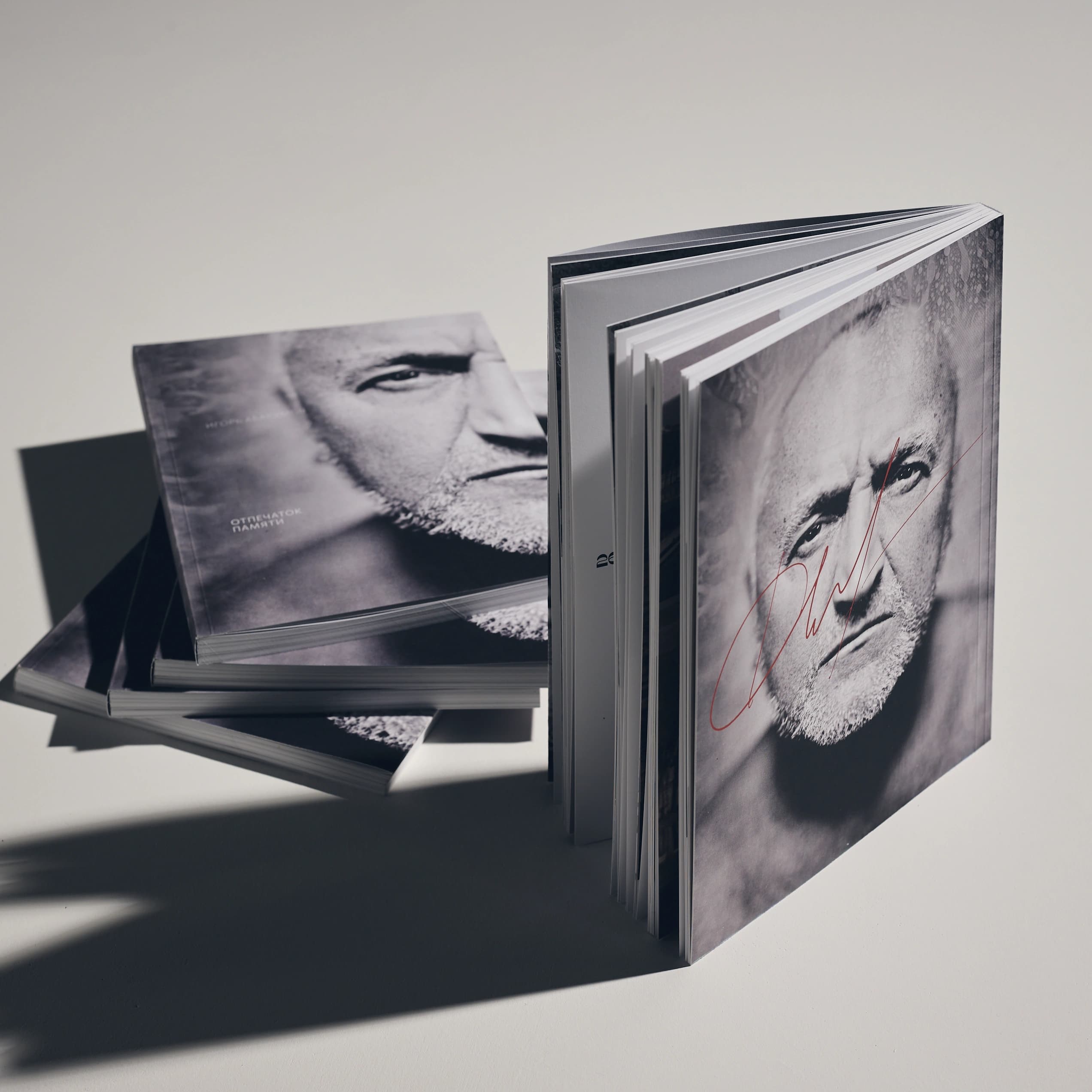 Memory Imprint — standing hardcover edition